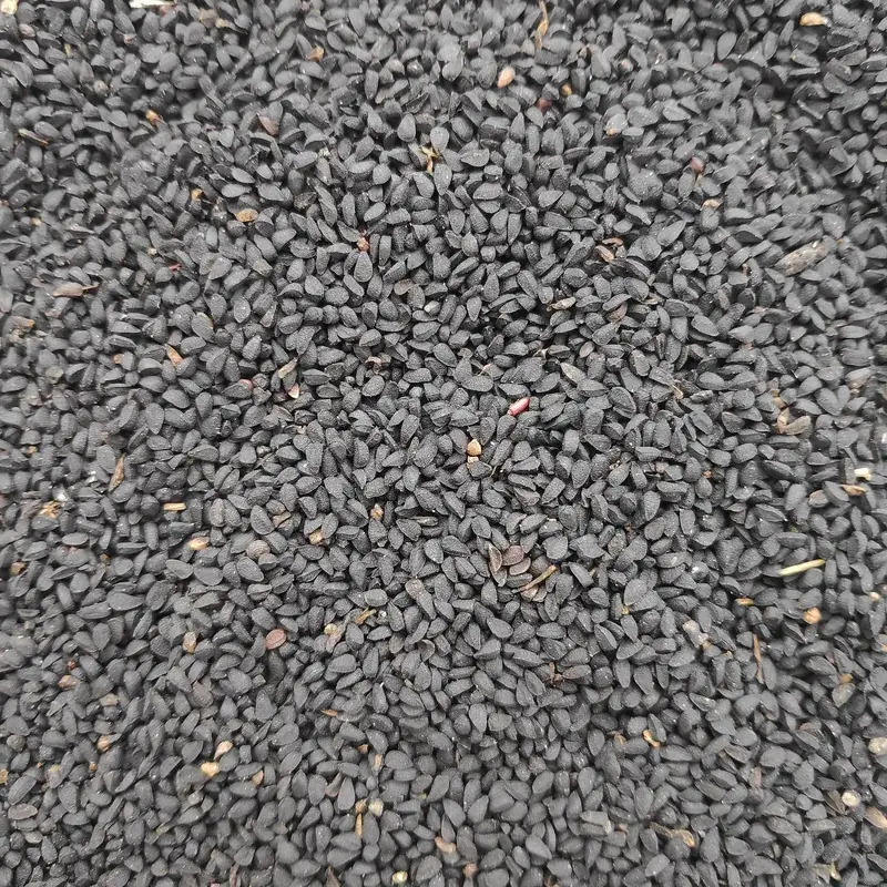 حبة البركة
