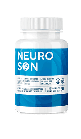 Neuroson